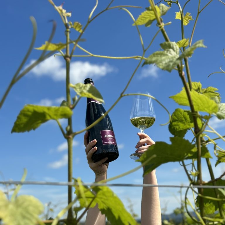 Sophie in vines 768x768