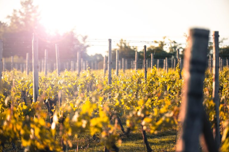 92f4ac80 aec5 4dd0 9cce f031712f52e2 768x512