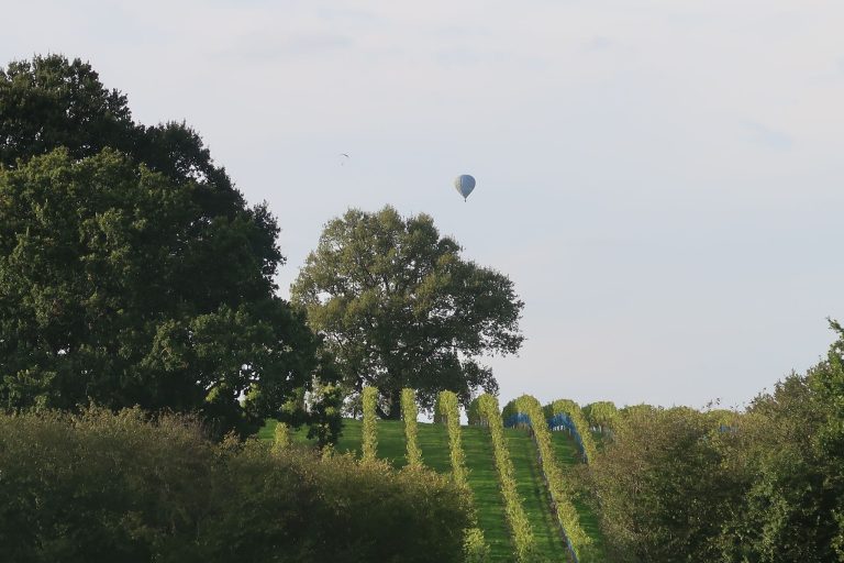 IMG 20250325 WA0023 768x512