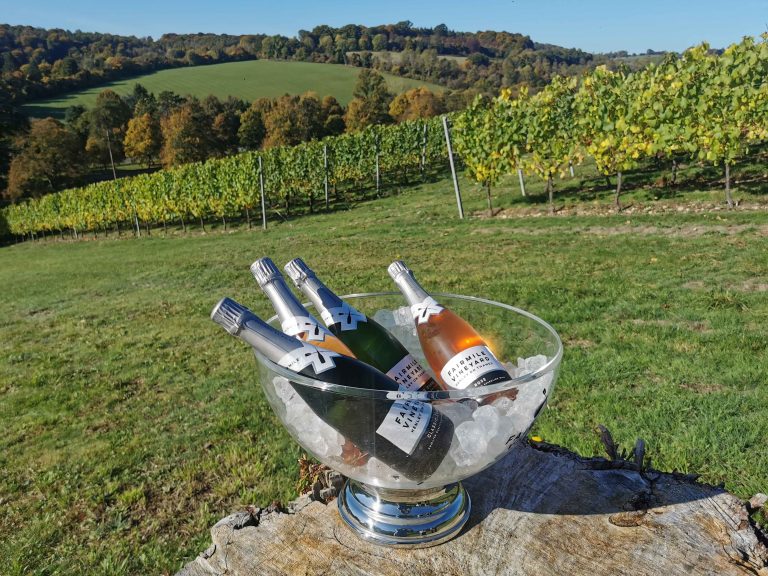 IMG 20221018 114002 compressed 1 768x576