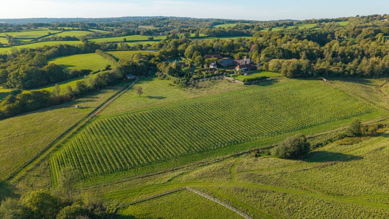 Wealden Wine Trail Coes Farm Photo LOWER RES 3 768x432