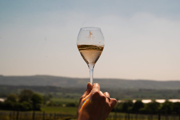 Roebuck sparkling wine tipi 47 768x511